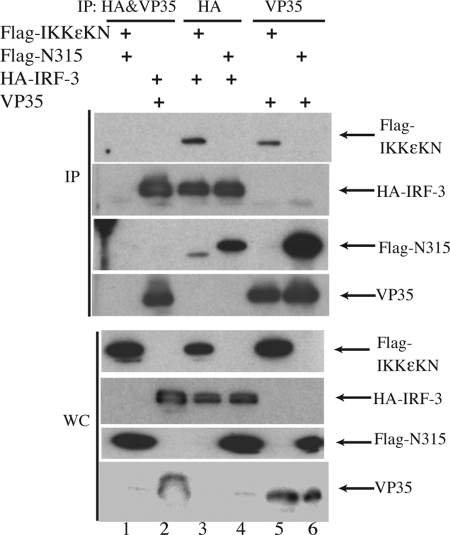 FIG. 4.