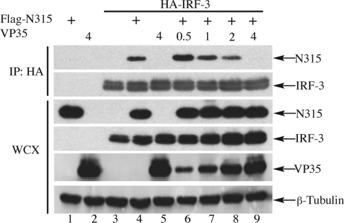 FIG. 5.