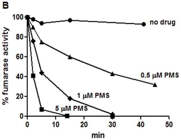 Fig. 8