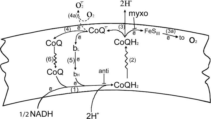 Figure 9.