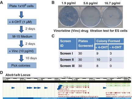 Figure 4.