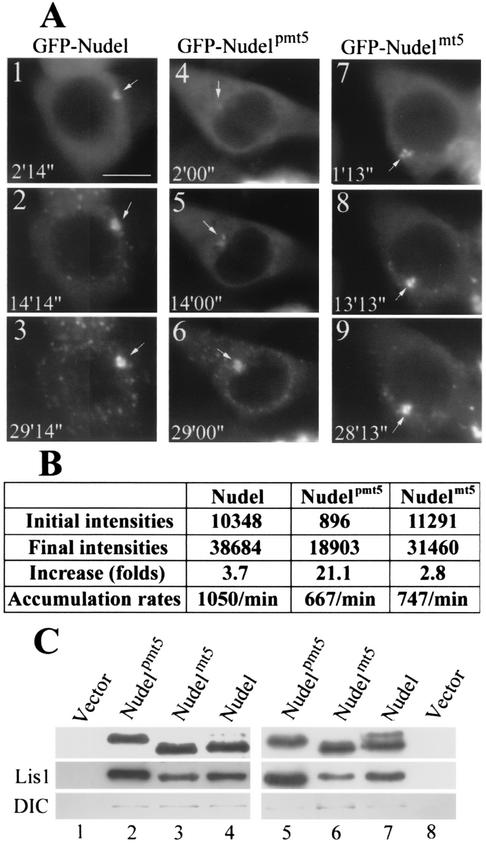 FIG. 9.