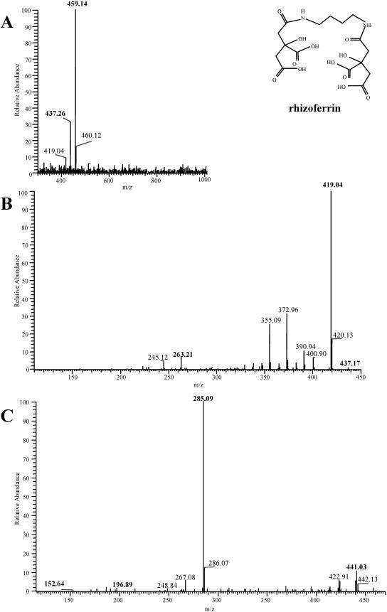 FIG. 3.