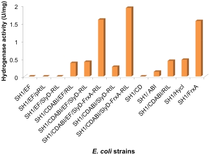 Figure 5