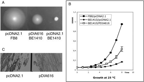 Figure 4.
