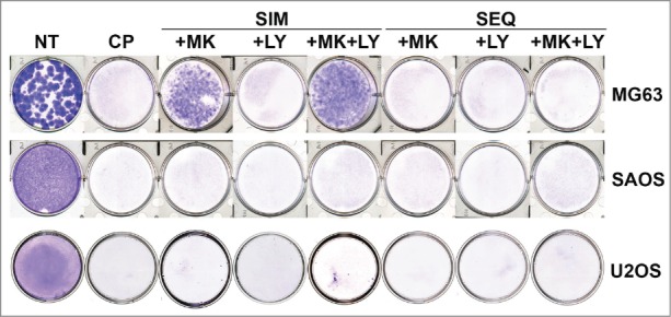 Figure 10.