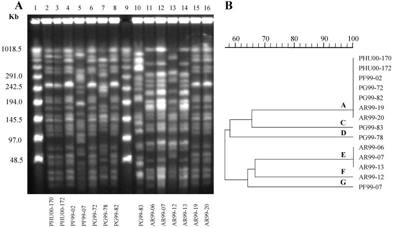 FIG. 1.