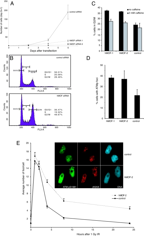 FIG. 6.