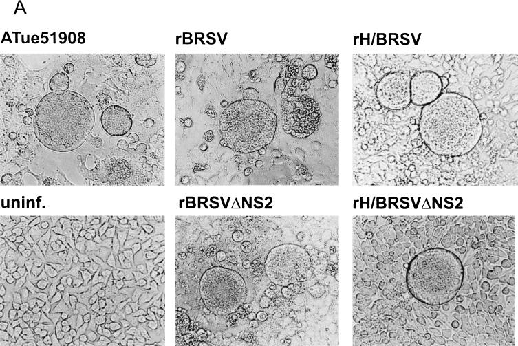 FIG. 6