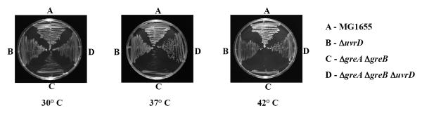 Extended Data Figure 5