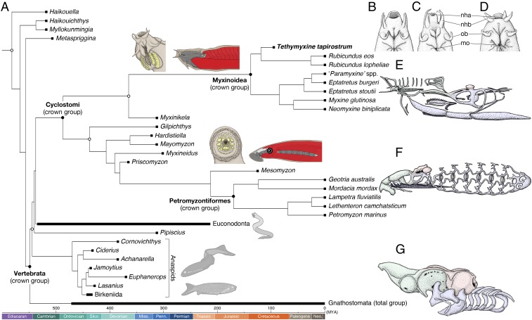 Fig. 3.