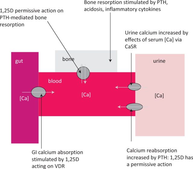 Fig 1.