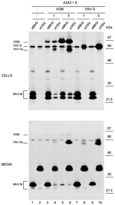 FIG. 4