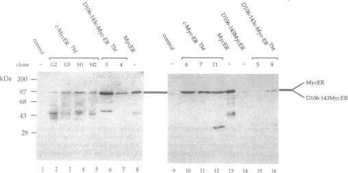 graphic file with name nar00010-0052-a.jpg