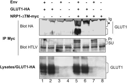 FIG. 6.