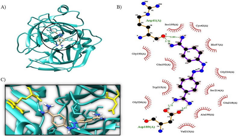 Fig. 4