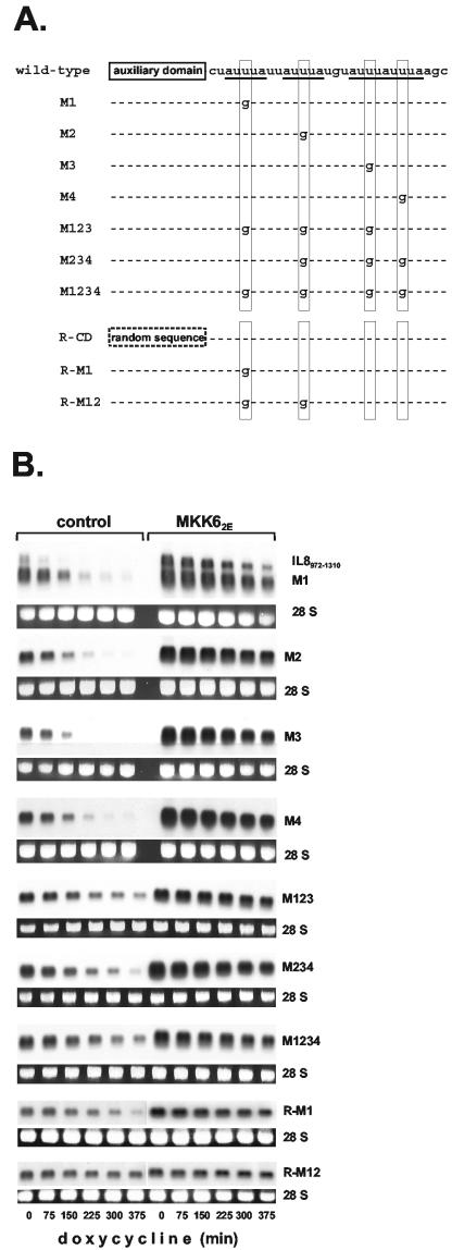 FIG. 5.
