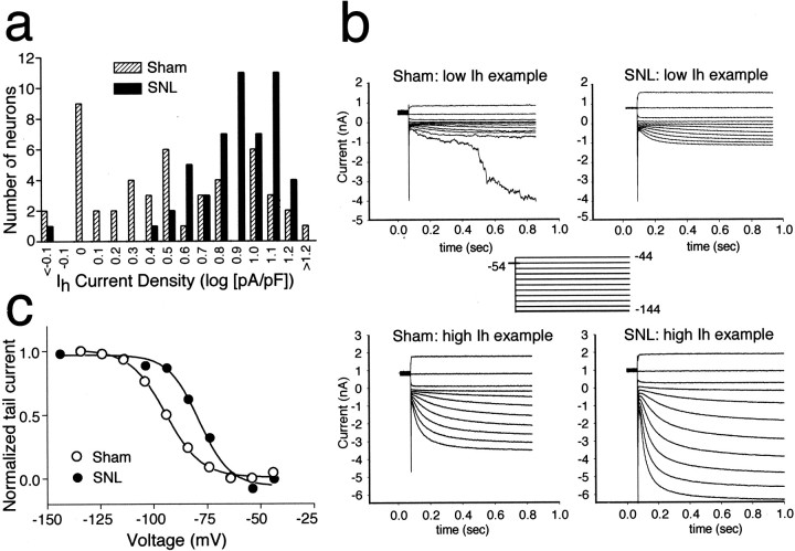 Fig. 9.