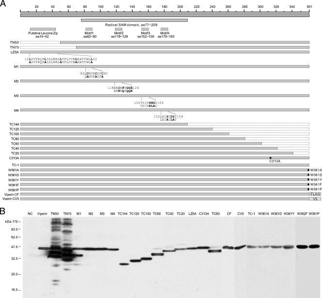 FIG. 9.