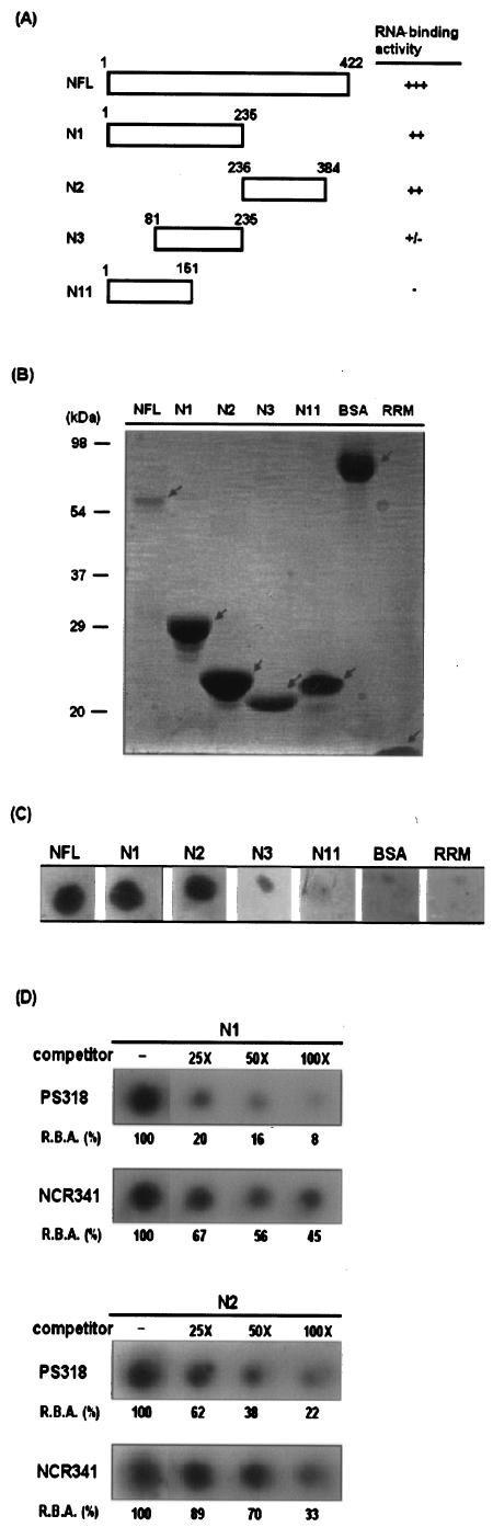 FIG.7.