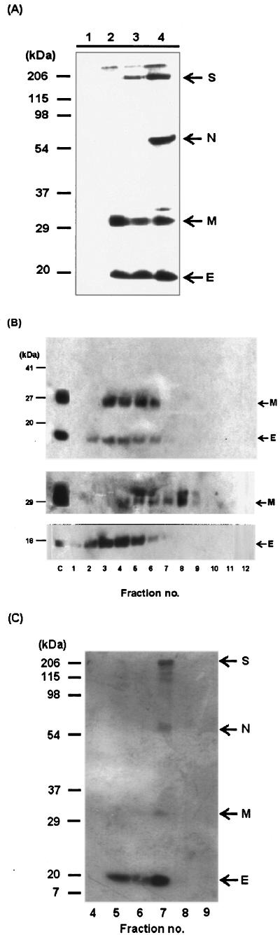 FIG.2.