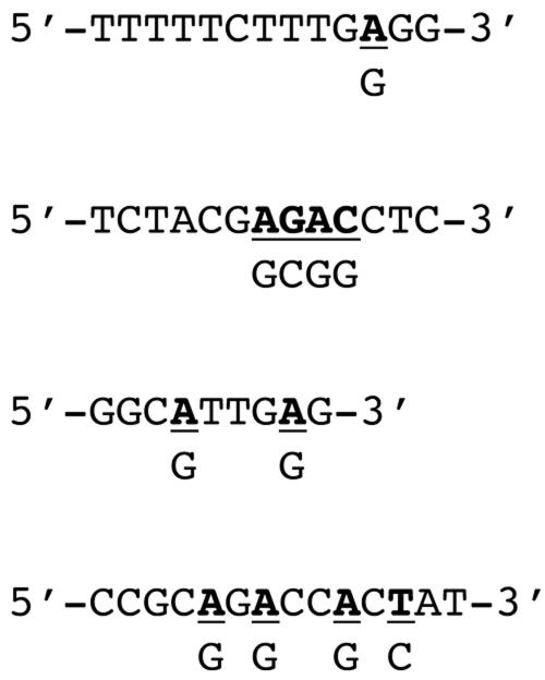 FIG. 5.